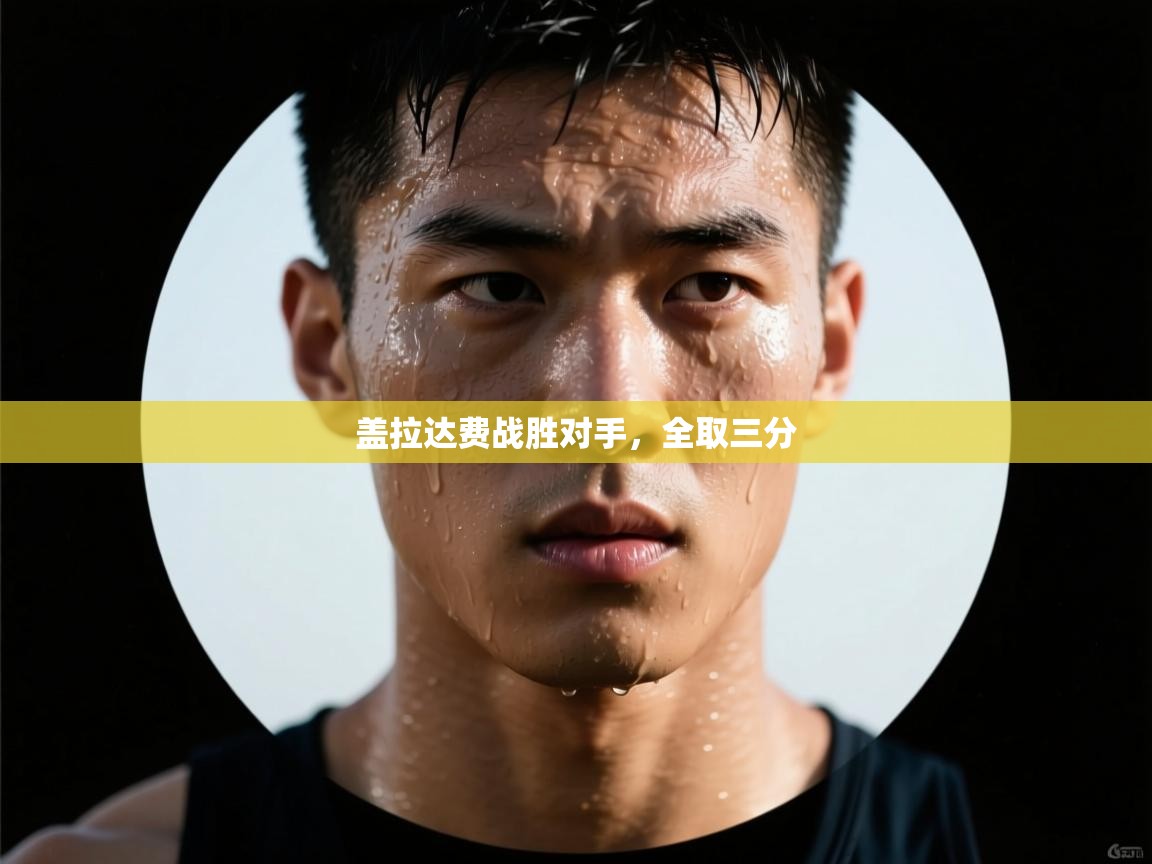 开云体育PC版网页版登录-盖拉达费战胜对手，全取三分  第1张