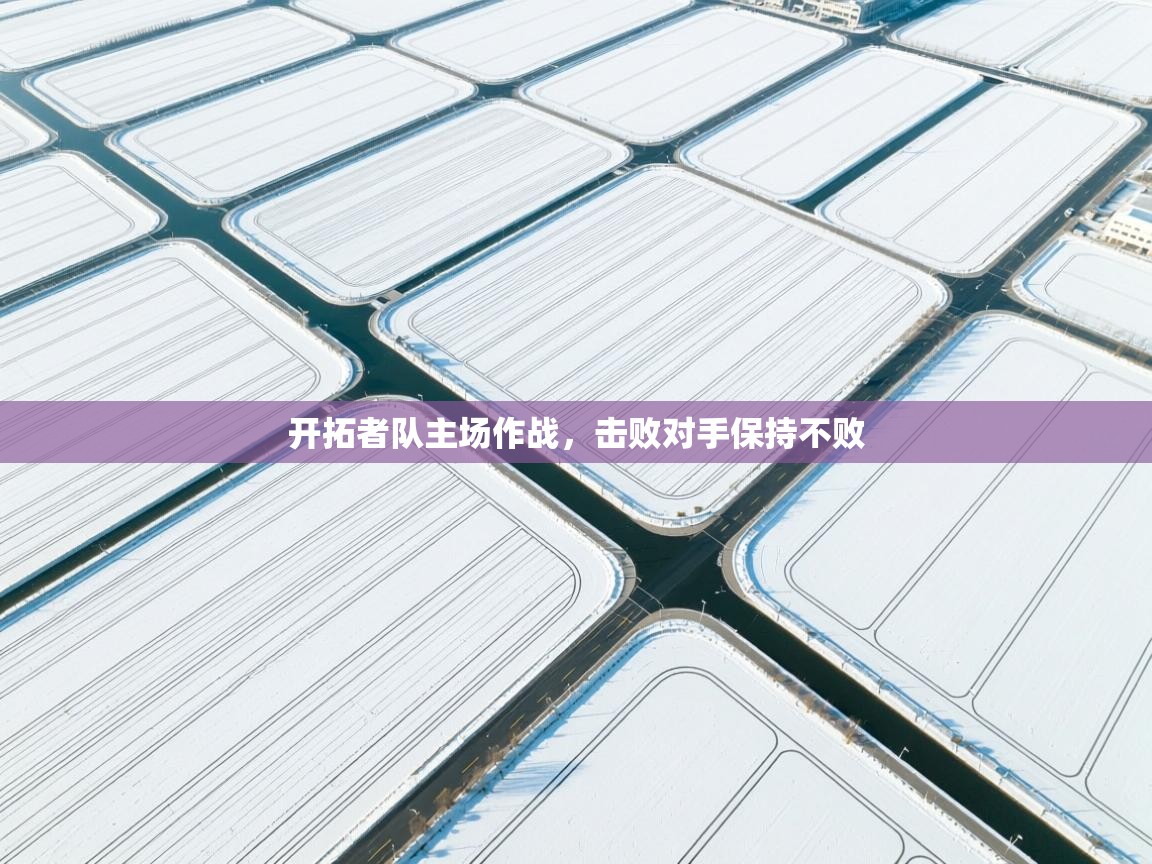 开云体育安卓APK下载-开拓者队主场作战,击败对手保持不败 第1张